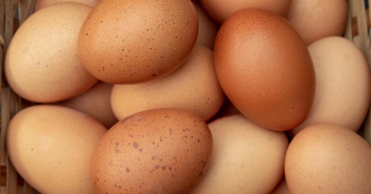 eggs ban