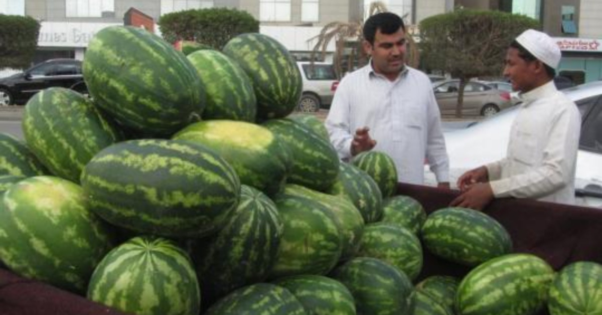water melon in saudi