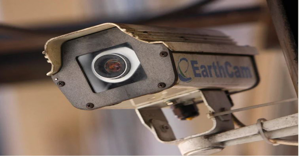 cameras