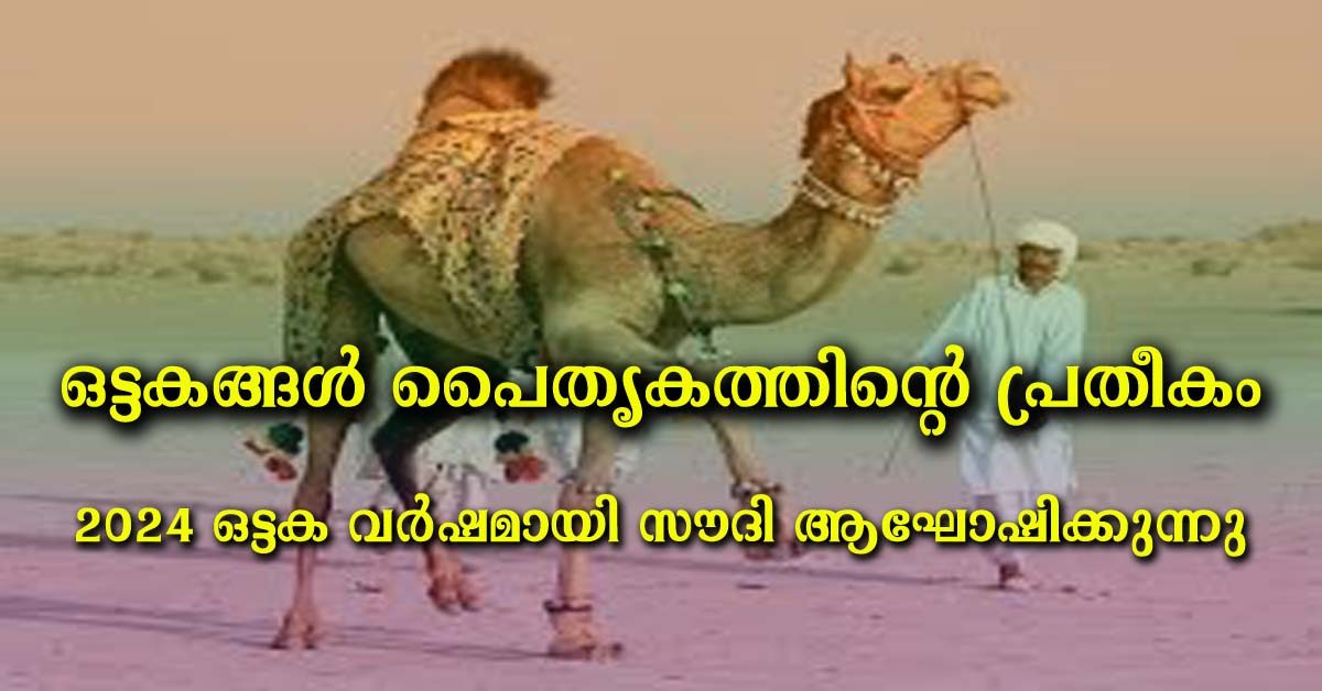 camel day