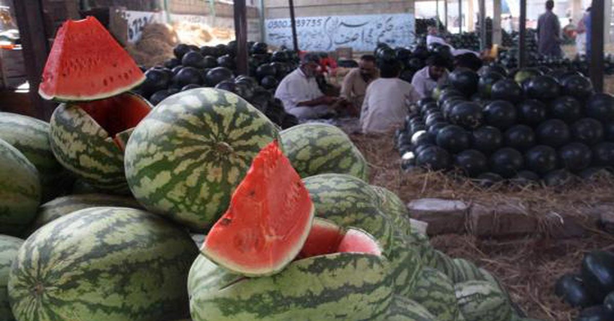 thuraif water melon