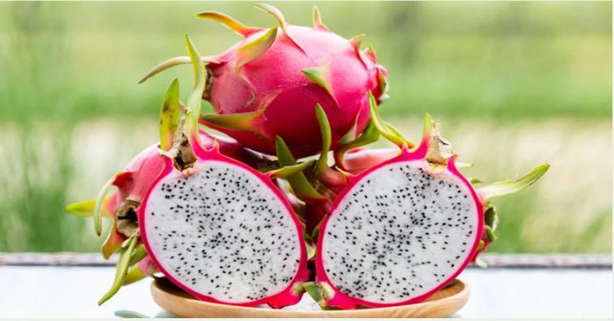 dragon fruit