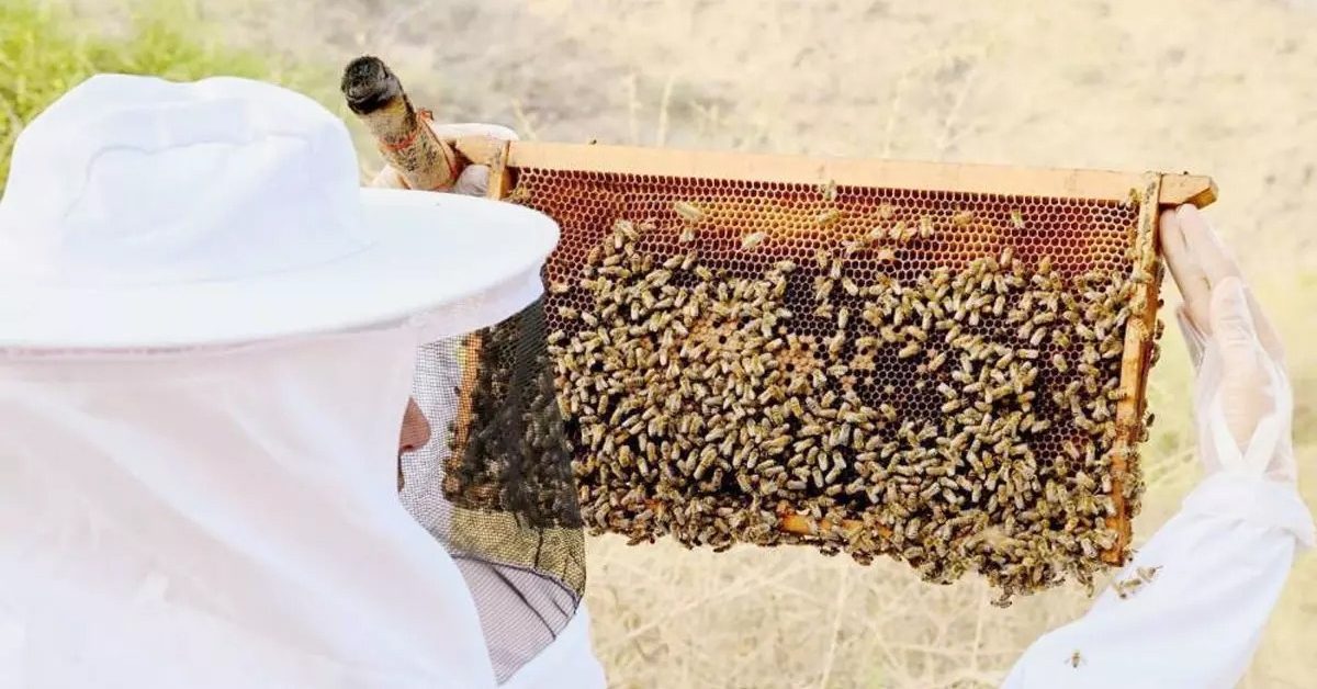 natural honey
